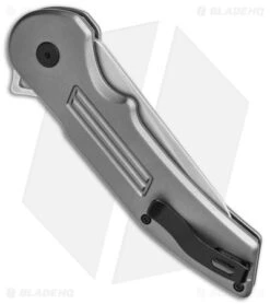 Buck Hexam Spring Assisted Knife Gray Al (3.3" SW) 0262GYS -Knife Discounts Store Buck Hexam Spring Assisted Knife Gray Ti 3in SW BHQ 140119 td side